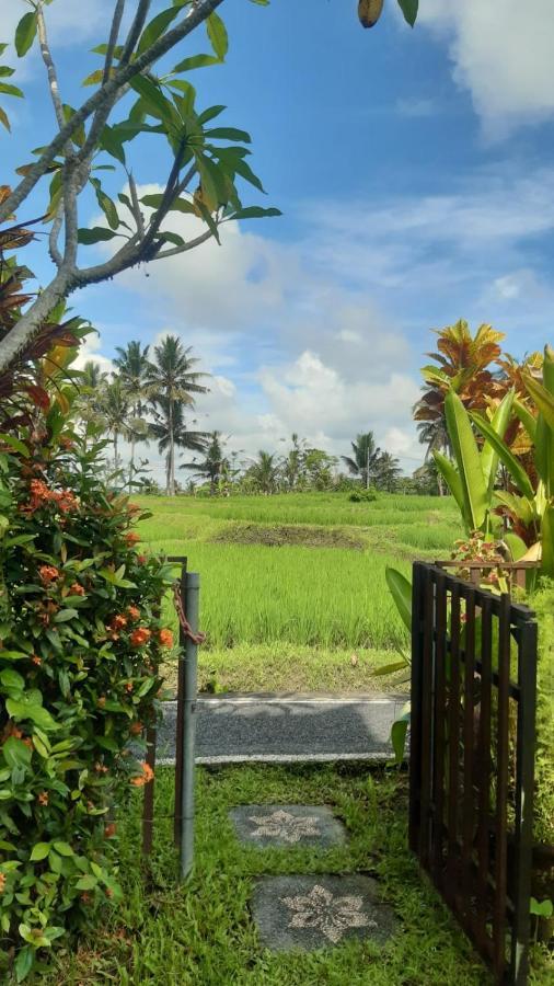 Buddha Homestay Ubud Eksteriør billede